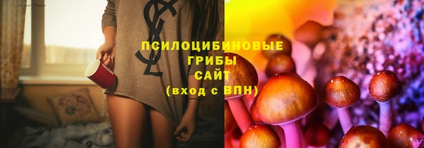 метадон Армянск