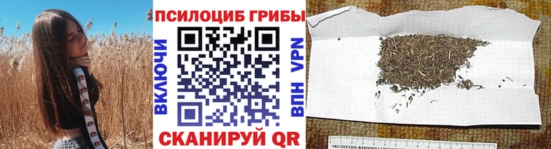 Псилоцибиновые грибы GOLDEN TEACHER Тайшет
