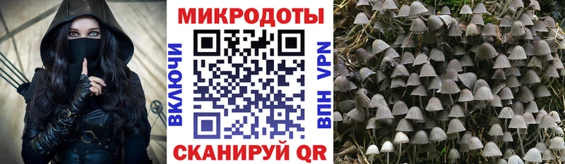 Купить где  Тайшет  Галлюциногенные грибы мухоморы 